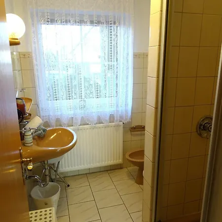 Specht - Anna 2